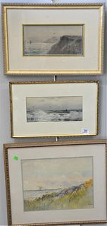 Three Charles Russell Loomis (American, 1857 - 1936), each watercolor on paper, each depicting coastal scenes with flying shore birds, each signed low