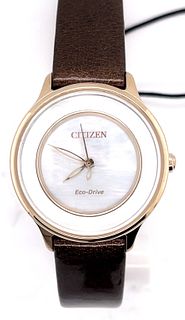 New Eco-Drive Citizen "Circle of Time" Watch