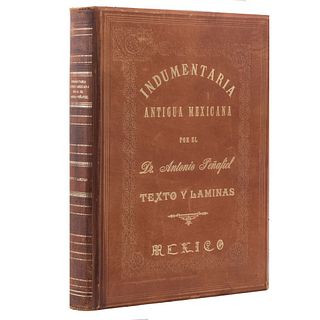 Peñafiel, Antonio. Indumentaria Antigua Mexicana. México: Oficina Tip. de la Secretaría de Fomento, 1977. Edición facsimilar.