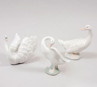 Lote de 3 aves decorativas. España. Ca. 1994 Elaboradas en porcelana Lladró y Nao. Acabado brillante. Consta de: cisne y 2 patos.