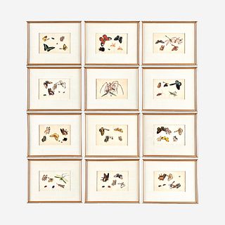 A Suite of Twelve Framed Chinese Export Paintings Sunqua (Chinese, active 1830-1870), Qing Dynasty