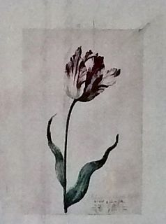 David Baskin: Tulip Mania #4