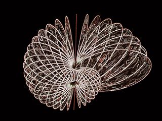 Agnes Denes, "Snail Butterfly Crochet"