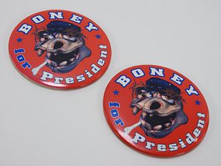 2 Nickelodeon Weinerville Boney Prop Campaign Pins