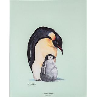 Framed Harry Antis Lithograph, Emperor Penguin And Chick