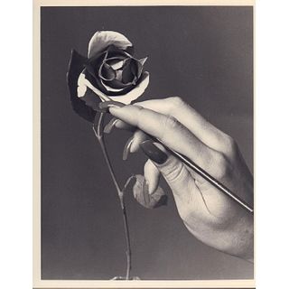 Gelatin Silver Print with Border, Flower Painting