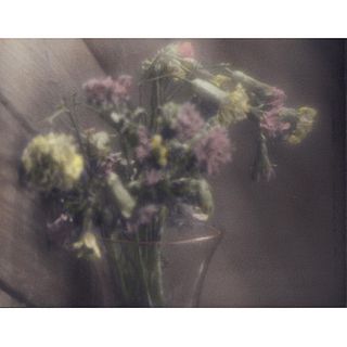 Gelatin Silver Print, Dying Bouquet, Colored