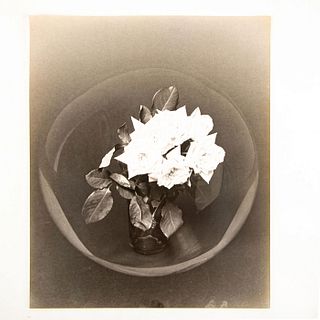 Gelatin Silver Print, Floral Arrangement