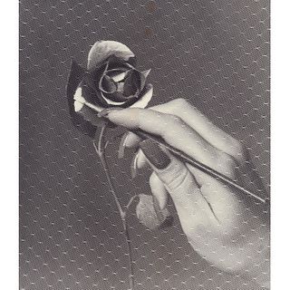 Gelatin Silver Print, Flower Painting with Lace Overlay