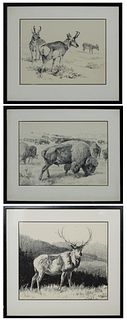 Howard L Munns (1911-2002, Montana), "Three Pronghorn Antelope," "Grazing Buffalo," and "The Majestic Elk," 20th c., three charcoal and ink on paper, 