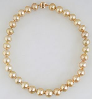 Strand of Thirty-Three Graduated Golden Color Tahitian Cultured Pearls, ranging from 13-16mm, with a 14K white gold ball clasp, L.- 18 in. , with appr