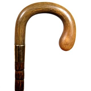 Diplomatic Horn Cane