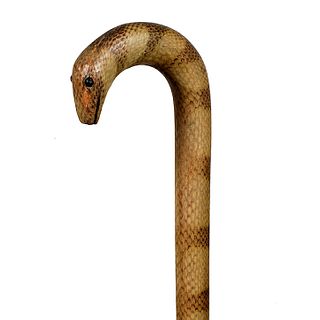 Snake Skin Cane