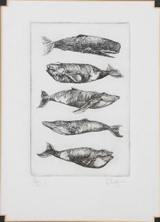 David Lazarus Limited Edition Black and White Etching of 5 Whales