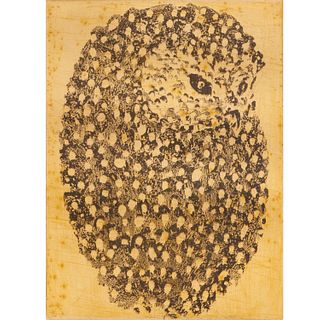 Walter Rudolph Mumprecht, owl etching