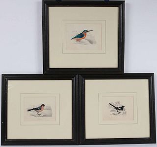 Three Watercolor and Pencil Studies of Birds