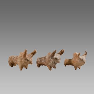 Lot of 3 Indus Valley Style Terracotta Bulls. 