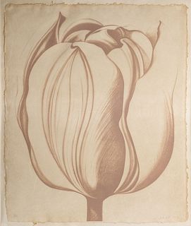 Lowell Nesbitt "Tulip" Silkscreen, 1976