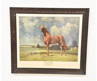 Man O'  War Horse Print
