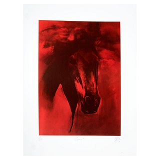 MARCO ZAMUDIO. Equus X. Serigrafía y aguatinta sobre papel algodón. Serie 135/150. Firmada y fechada 2016. 50 x 35 cm