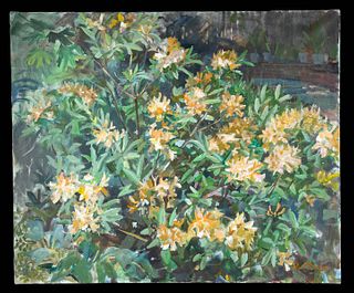 Signed William Draper Painting - "Azaleas" 1990s