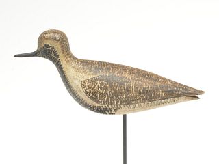 Exceptional black bellied plover in spring plumage, George Boyd, Seabrook, New Hampshire, 1st quarter 20th century.