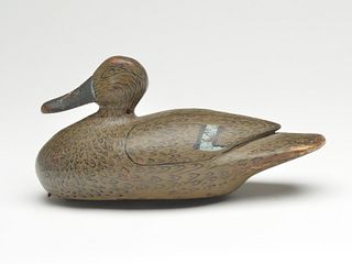 Well sculpted bluewing teal hen from Louisiana, 1st quarter 20th century.