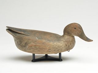Rare greenwing teal hen, Bruno Reneson, Old Lyme, Connecticut, circa 1940.