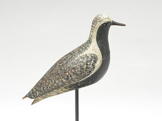 Hollow carved black bellied plover from Nantucket, Massachusetts, last quarter 19th century.
