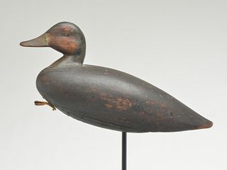 Black duck, John Henry Downs, Townsend, Virginia, 1st quarter 20th century.