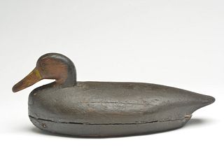 Hollow carved black duck, George Isdell, Oyster, Virginia.
