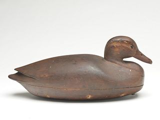 Classic hollow carved black duck, Nathan Cobb, Jr., Cobb's., 3rd quarter 19th century.