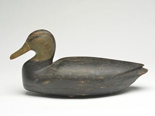 Hollow carved black duck, Arthur Cobb, Cobb Island, Virginia, last quarter 19th century.