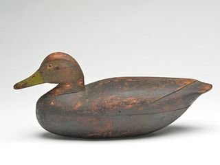Hollow carved black duck, Dave Watson, Chincoteague, Virginia, circa 1920.