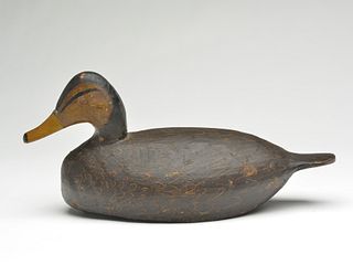 Black duck, Miles Hancock, Chincoteague, Virginia, 2nd quarter 20th century.