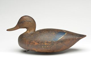 Black duck, Ira Hudson, Chincoteague, Virginia, 1st quarter 20th century.