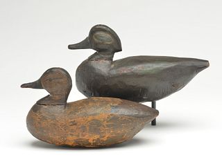 Extremely rare pair of greenwing teal, from Hog or Smith Island Virginia, last quarter 19th century.