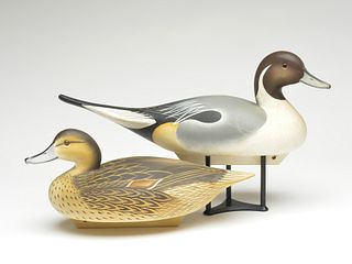 Pair of pintails, Charles Joiner, Chestertown, Maryland.