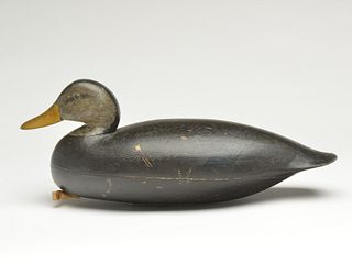 Black duck, made by either Nathan Rowley Horner or Chris Sprague, West Creek, New Jersey.