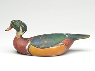 Wood duck drake, R.D. Wilson, Mineola, Texas.