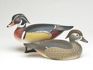 Pair of wood ducks, Oliver Lawson, Crisfield, Maryland.