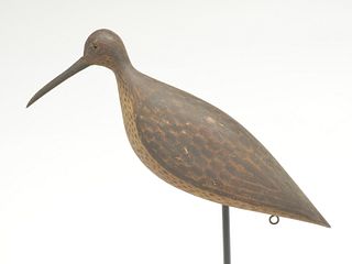 Large curlew, McCarthy family, Cape May, New Jersey,  last quarter 19th century.