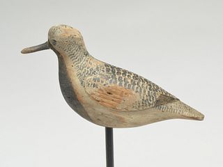 Large and impressive black bellied plover, Obediah Verity, Seaford, Long Island, New York, last quarter 19th century.