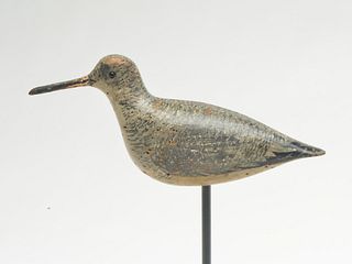 Dowitcher in fall plumage, John Dilley, Quogue, Long Island, New York, last quarter 19th century.