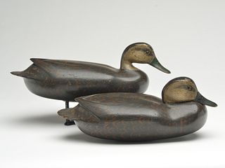 Rigmate pair of black ducks, Joe Morgan, Tullytown, Pennsylvania. 2nd quarter 20th century.
