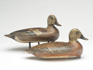 Pair of hollow carved widgeon, George Sibley, Whitehall, Michigan.