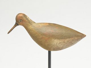 Dowitcher form the Outer Banks, North Carolina, last quarter 19th century.