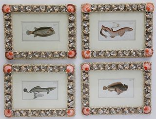 Set of 4 Coquillage Framed 18th Century Hand-Colored Engravings of Fishes, circa 1785-1788