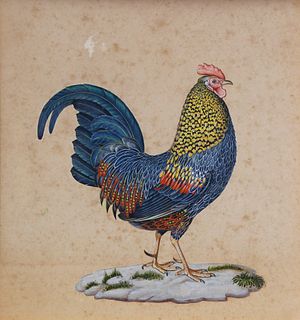 China Trade Gouache and Ink Picture of a Bantam Cock, mid 19th Century