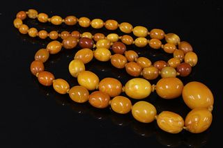 A single row graduated olive shaped amber bead necklace,